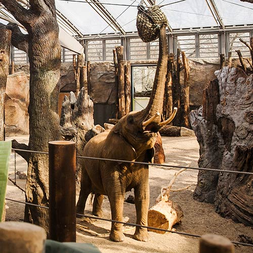 Dresden Zoological Garden