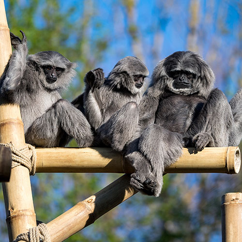 Tierpark Zoo Hellabrunn Munich