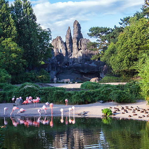 Tierpark hamburg Zoo Hagenbeck